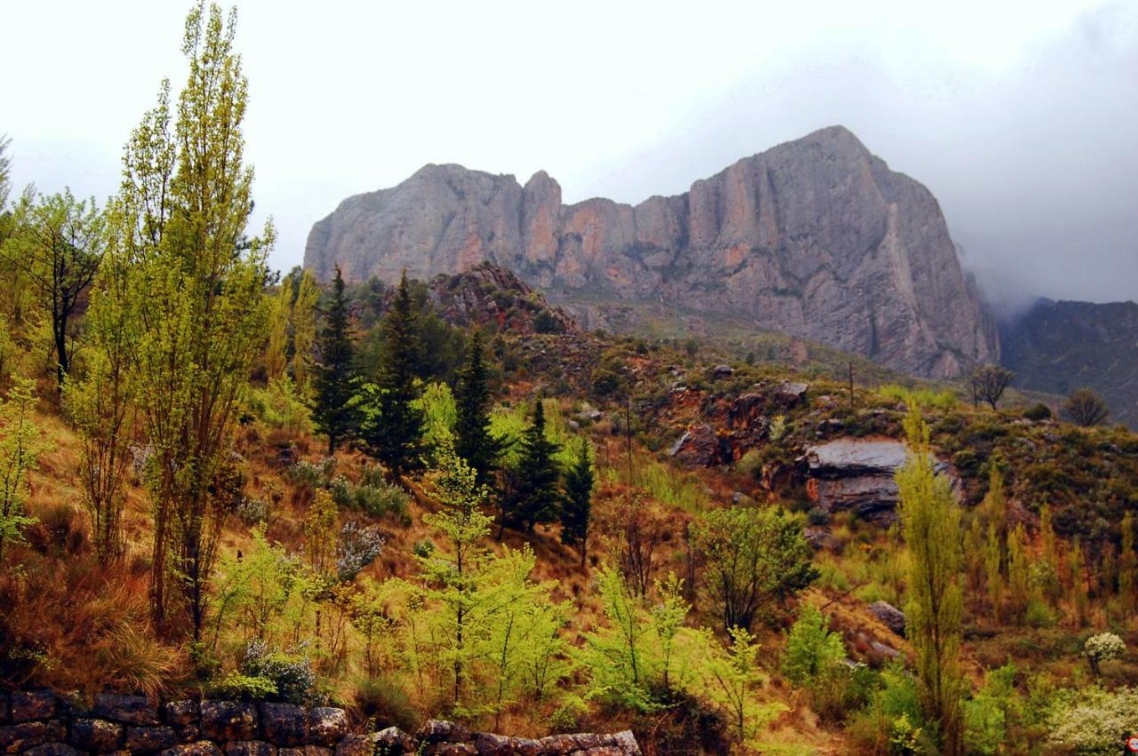 La Posada Del Arba El Frago Kültér fotó